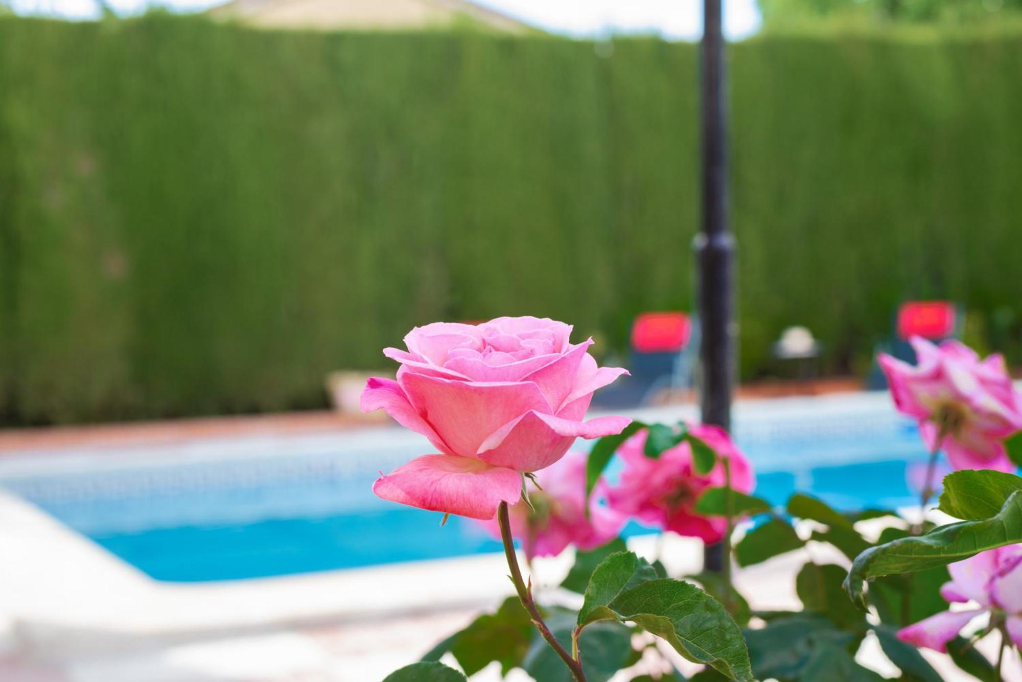 Villa Granada Garden Deluxe Monachil Dış mekan fotoğraf
